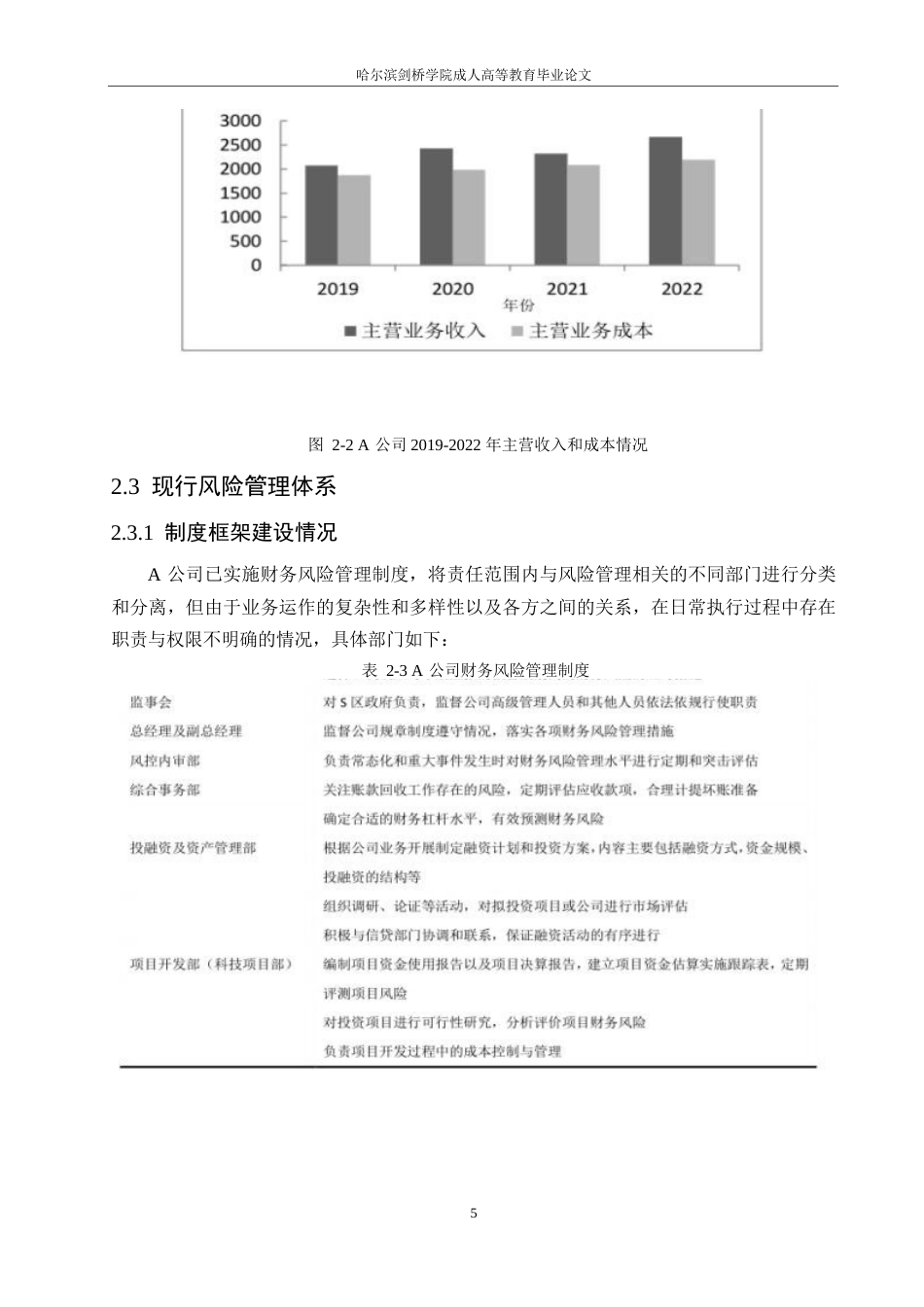25年WPA公司财务风险管理困境及优化方案探析0-约10918字符.docx_第9页