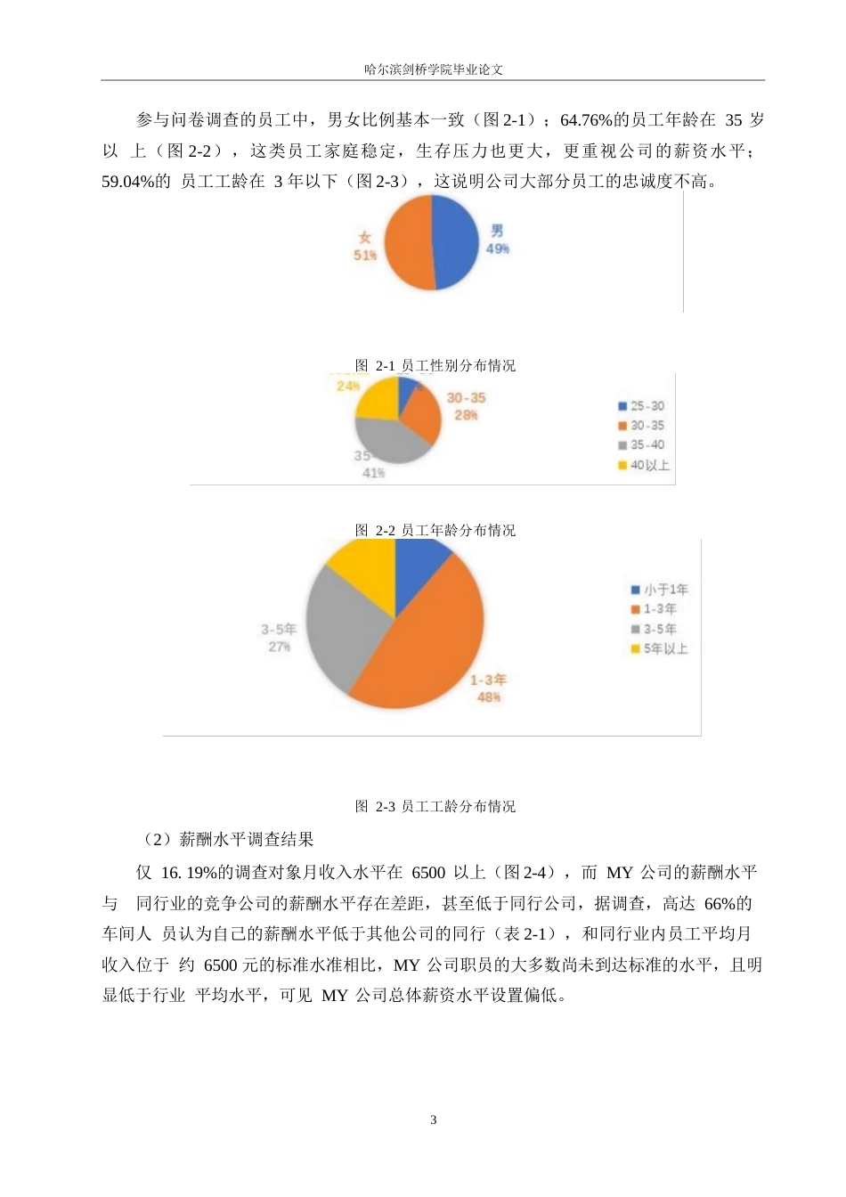 25年WPMY公司薪酬管理问题与对策研究0-9557.docx_第6页