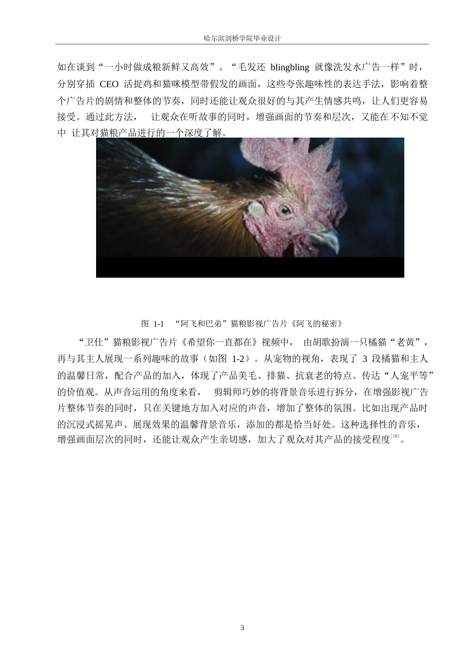25年WP数字媒体艺术-《布兰德猫粮》影视广告片创作-0.270-8865.docx_第6页