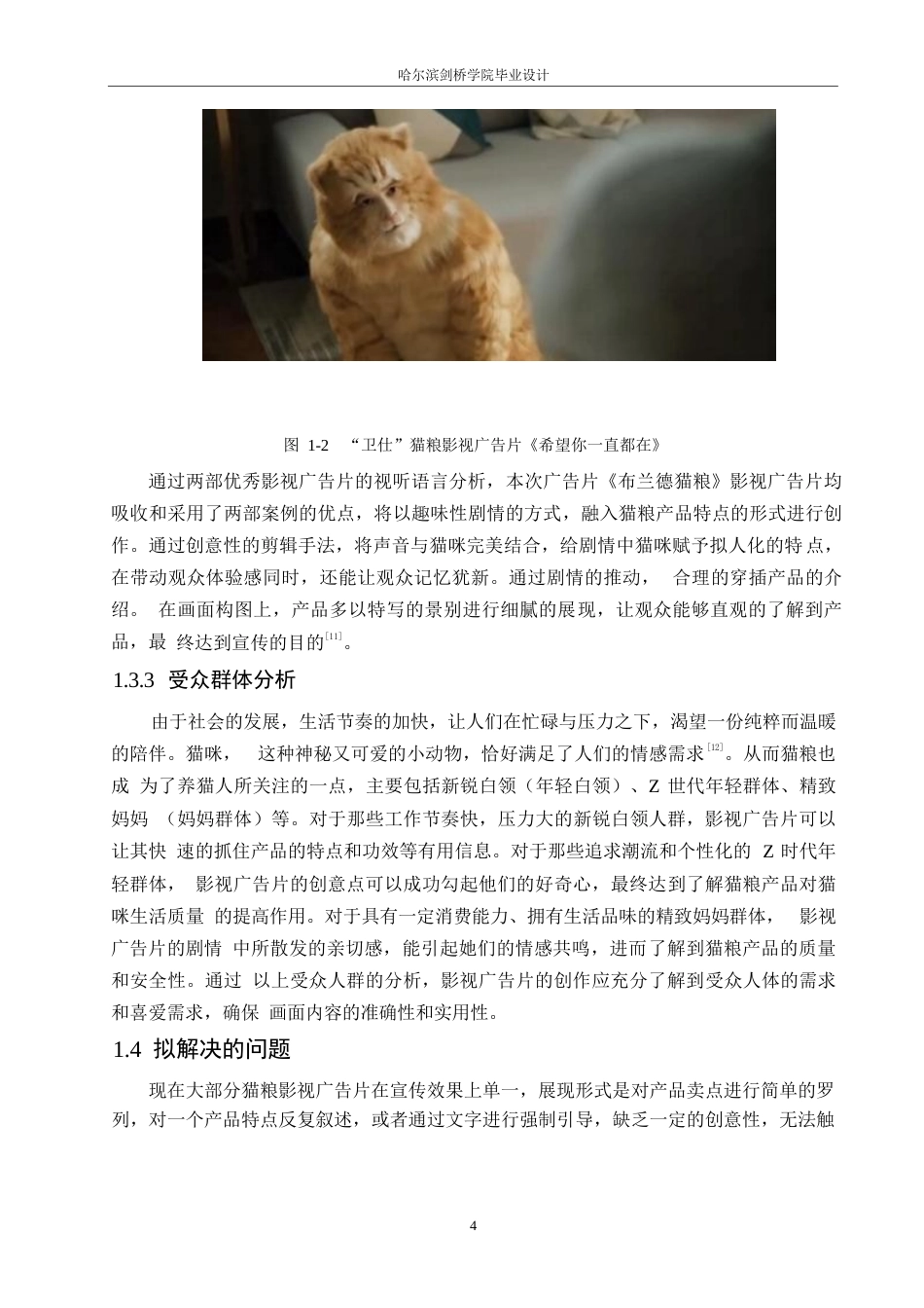 25年WP数字媒体艺术-《布兰德猫粮》影视广告片创作-0.270-8865.docx_第7页