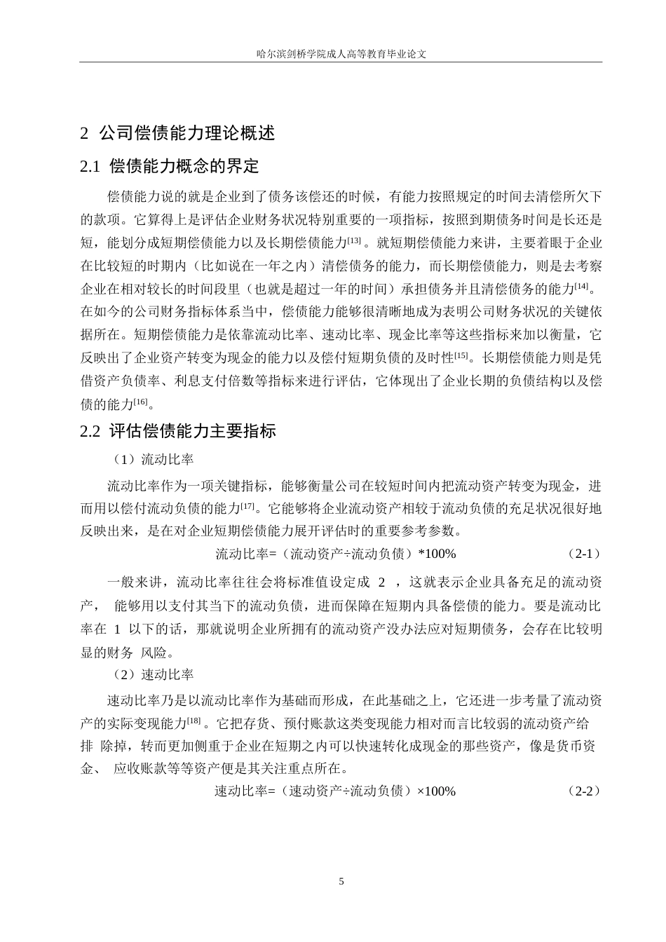 25年WP春天公司偿债能力分析0-16814.docx_第9页