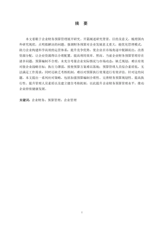 25年WP企业财务预算管理问题及应对措施0-约11354字符.docx