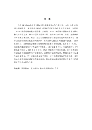 25年WP康复治疗学-核心稳定性训练在慢性腰痛康复中作用的调查研究-查重17.34AI0-8630.docx