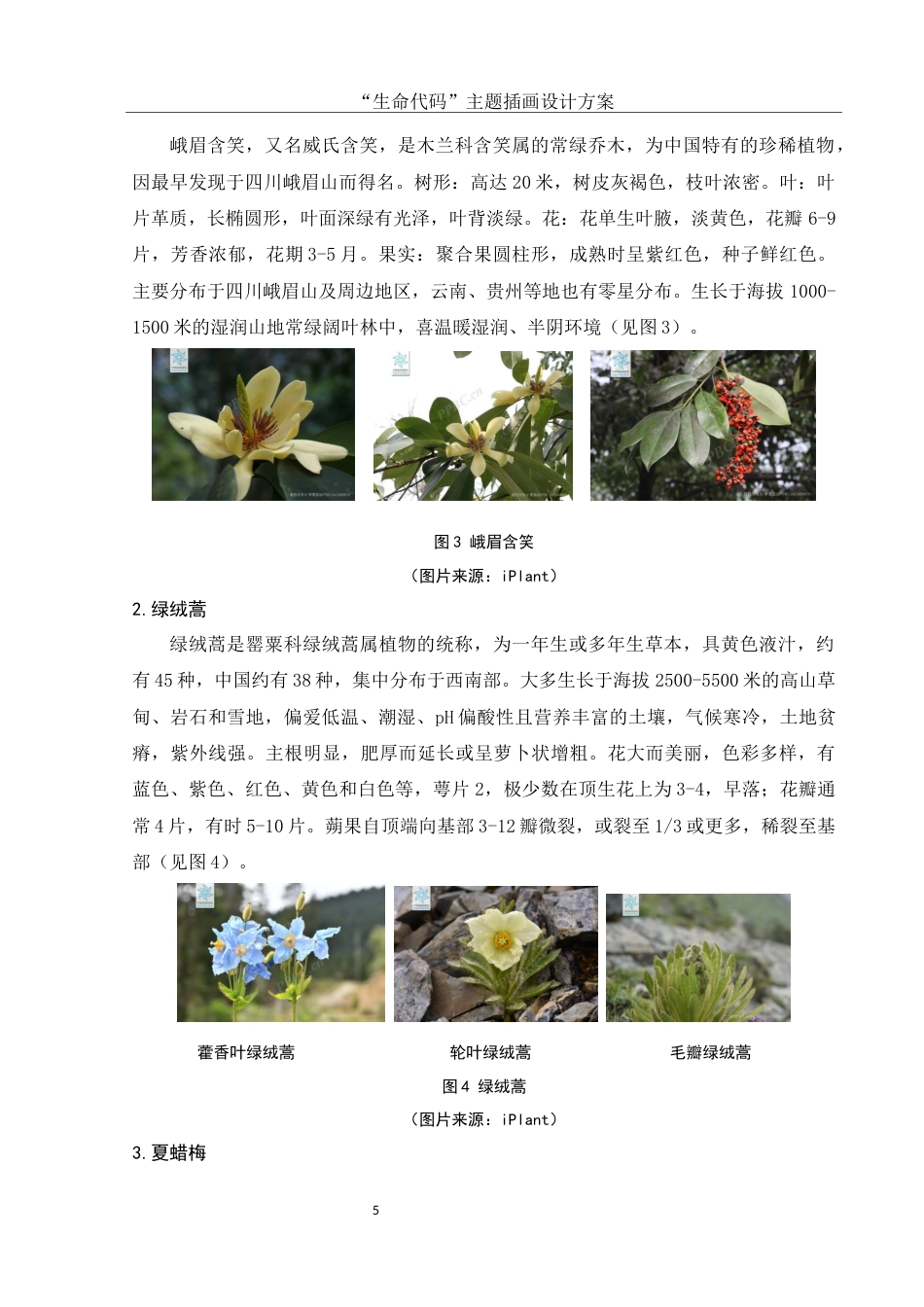 25年WH视觉传达设计 “生命代码”主题插画设计方案4.65-AI29.69最终稿-约7158字符.docx_第6页