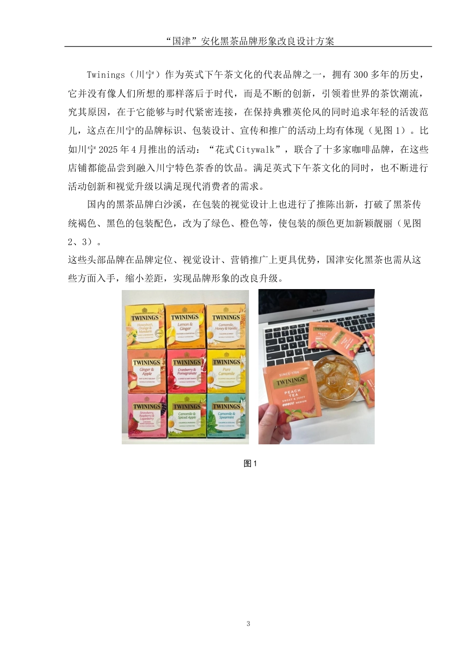 25年WH视觉传达设计 “国津”安化黑茶品牌形象改良设计方案5.73-AI9.65定稿-约8143字符.docx_第4页