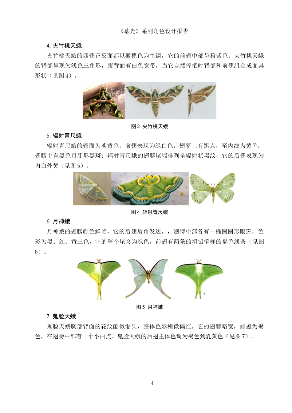25年WH动画 《慕光》系列角色设计报告3.36-AI19.02最终稿-约7037字符.docx_第5页