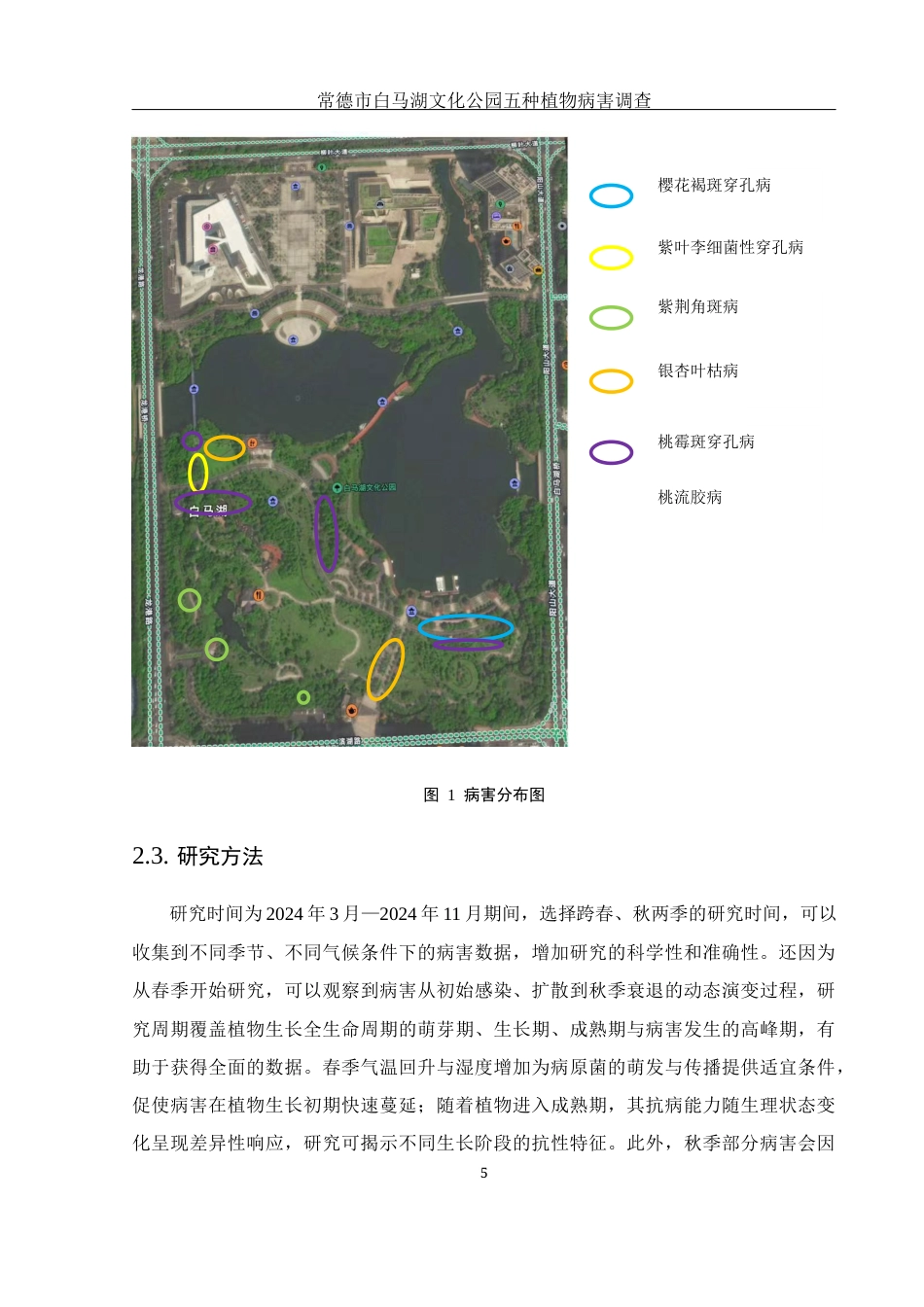 25年WH生物科学 常德市白马湖文化公园五种植物病害调查19.85-AI26.78定稿-约13114字符.docx_第9页