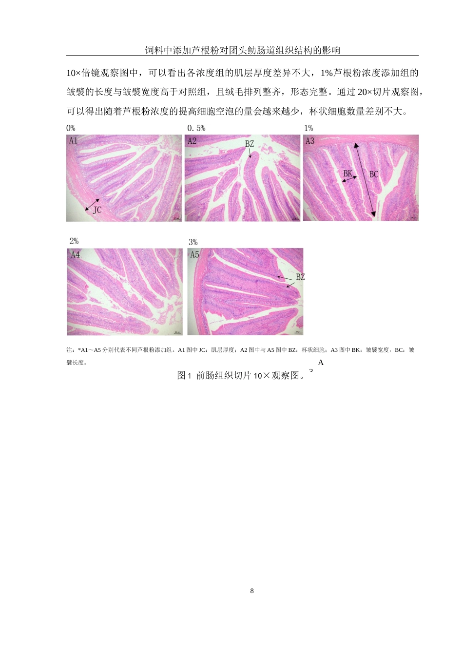 25年WH动物科学 饲料中添加芦根粉对团头鲂肠道组织结构的影响19.38-AI7.0最终稿-约10132字符.docx_第9页