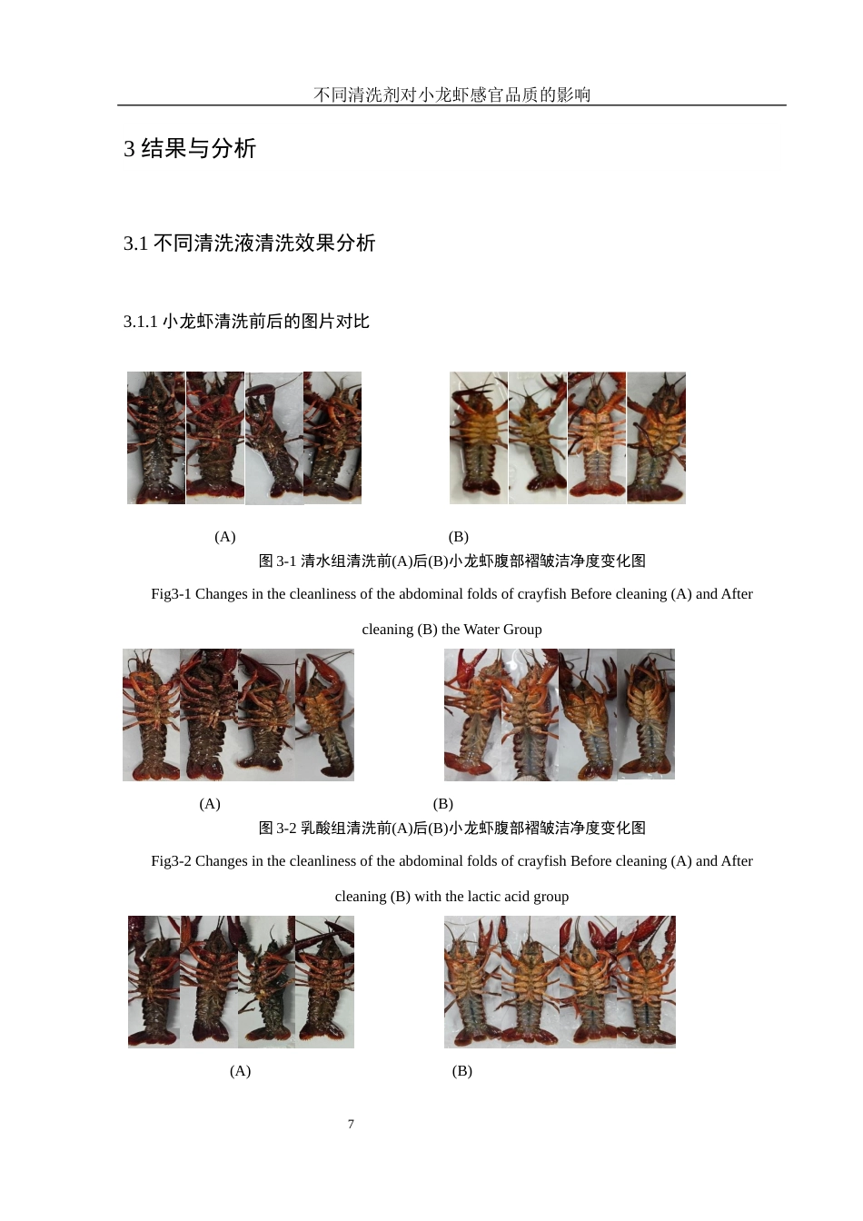 25年WH食品科学与工程 不同清洗剂对小龙虾感官品质的影响14.36-AI8.12最终稿-约12080字符.docx_第10页