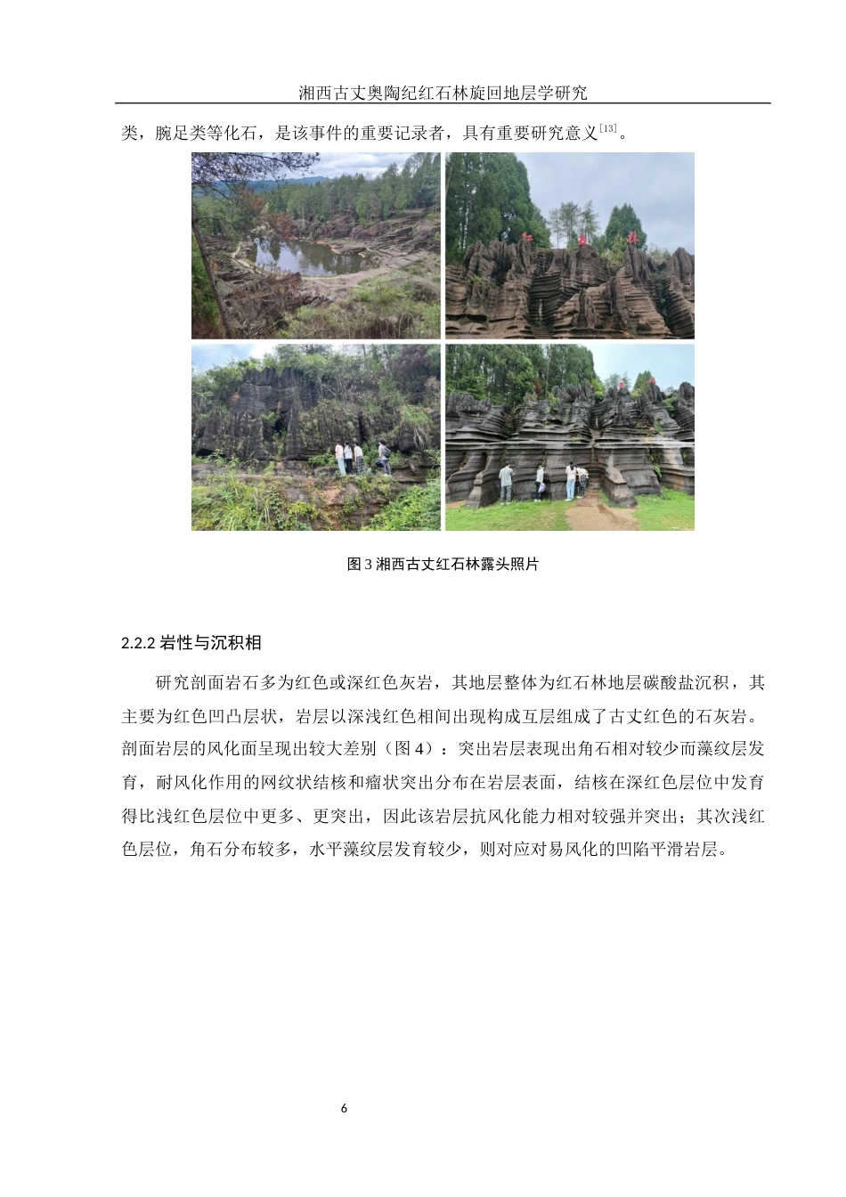 25年WH地理科学 湘西古丈奥陶纪红石林旋回地层学研究19.65-AI21.15最终稿-约12289字符.docx_第10页