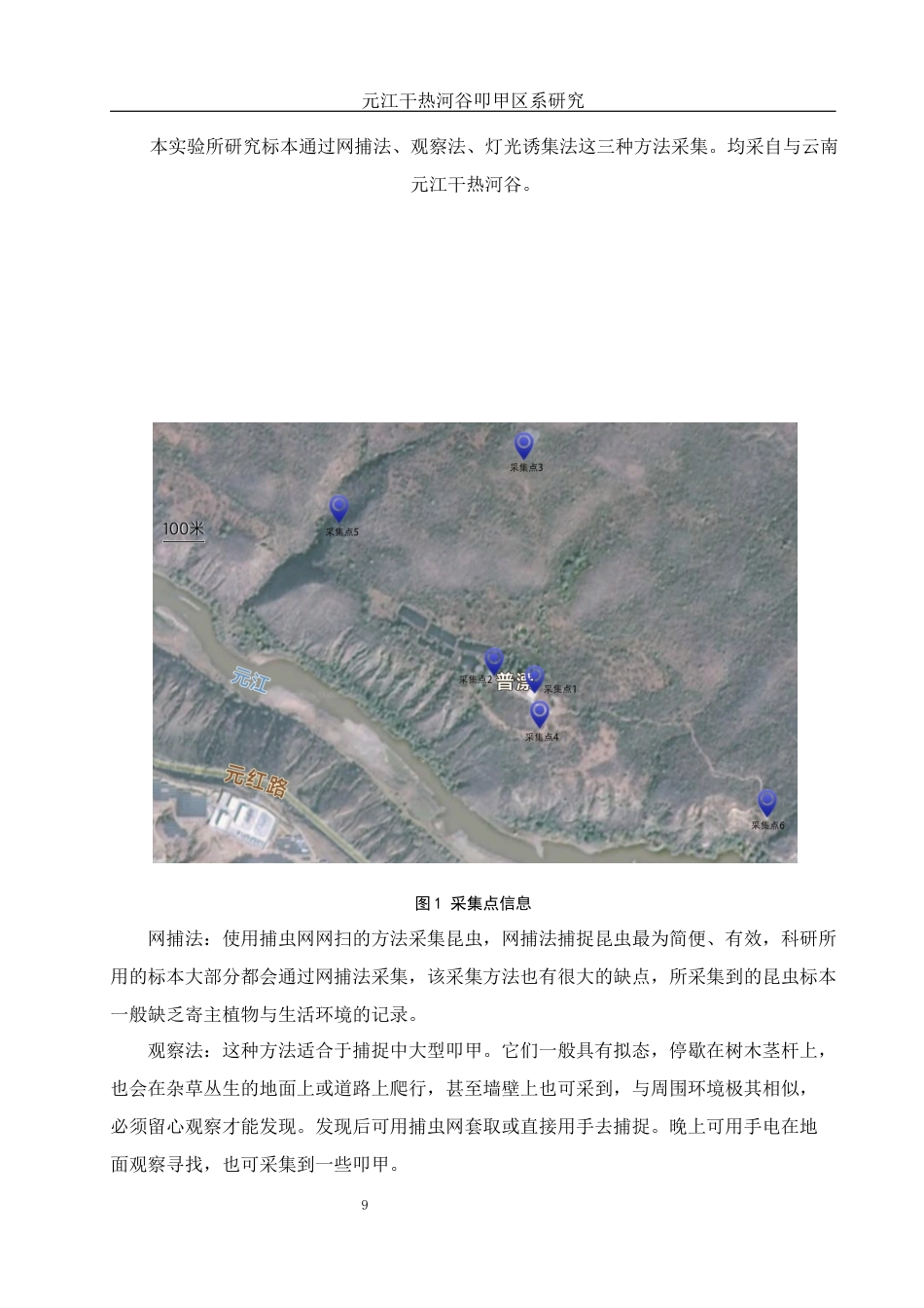 25年WH动物科学 元江干热河谷叩甲区系研究15.86-AI1.05最终稿-约13829字符.docx_第9页