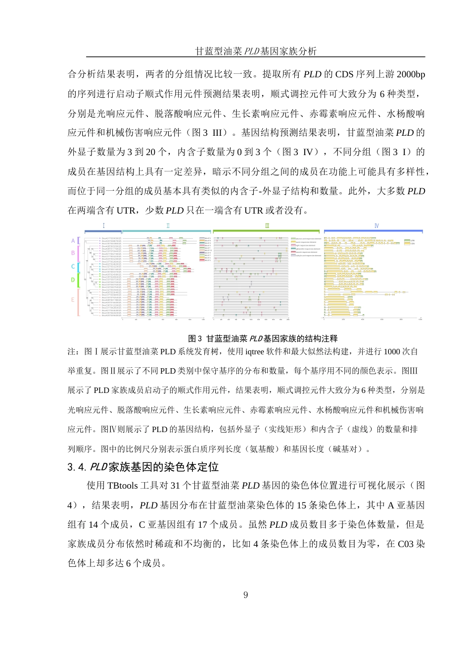 25年WH农学 甘蓝型油菜PLD基因家族分析11.73-AI18.86最终稿-约10596字符.docx_第10页