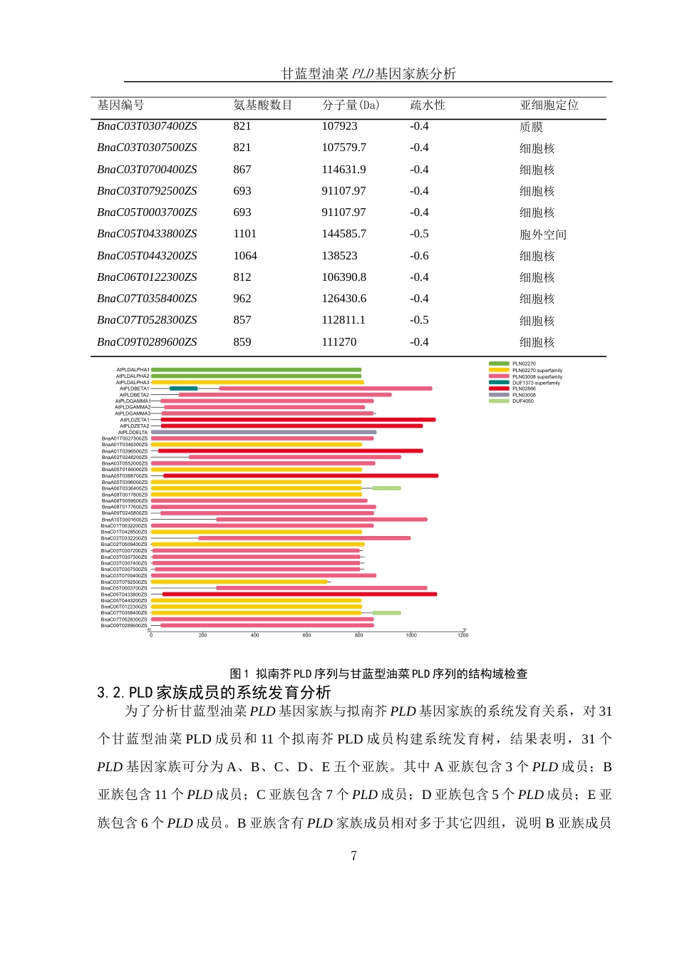 25年WH农学 甘蓝型油菜PLD基因家族分析11.73-AI18.86最终稿-约10596字符.docx_第8页