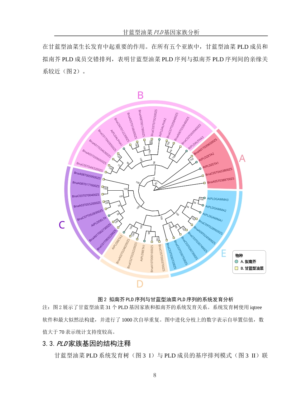 25年WH农学 甘蓝型油菜PLD基因家族分析11.73-AI18.86最终稿-约10596字符.docx_第9页