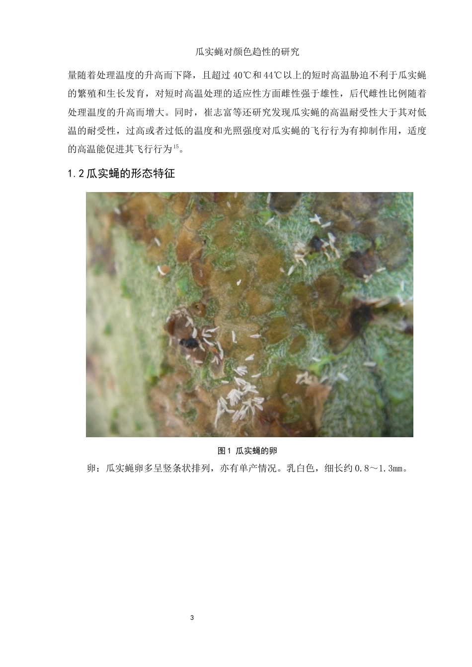 25年WH生物科学 瓜实蝇对颜色趋性的研究26.87-AI27.23终稿-约8461字符.docx_第5页