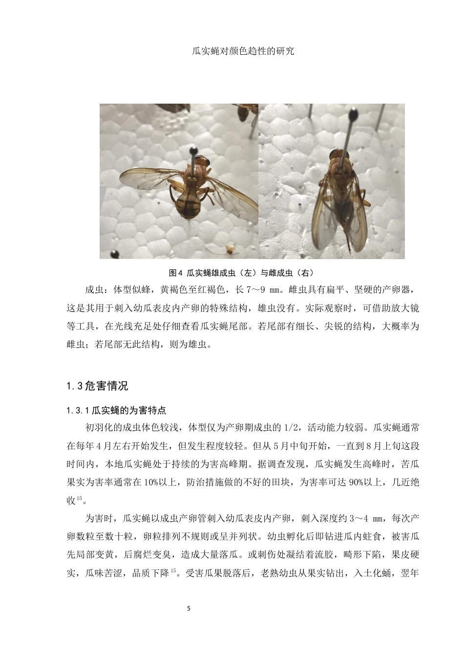 25年WH生物科学 瓜实蝇对颜色趋性的研究26.87-AI27.23终稿-约8461字符.docx_第7页