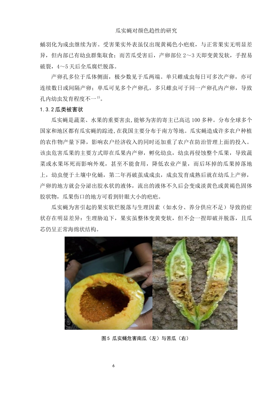 25年WH生物科学 瓜实蝇对颜色趋性的研究26.87-AI27.23终稿-约8461字符.docx_第8页