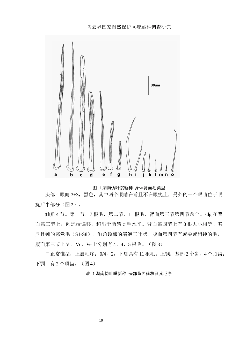 25年WH生物科学 乌云界国家自然保护区疣跳科调查研究6.92-AI0.0终稿-约10131字符.docx_第10页