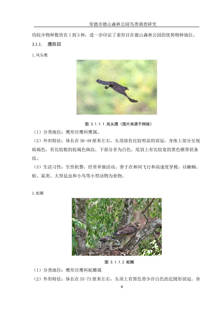 25年WH生物科学 常德市德山森林公园鸟类调查研究10.22-AI11.51终稿.docx_第8页