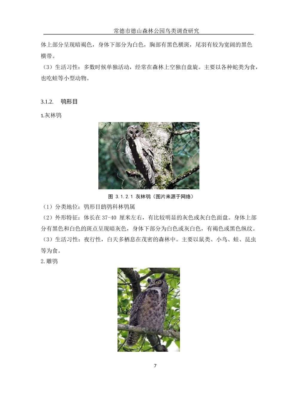 25年WH生物科学 常德市德山森林公园鸟类调查研究10.22-AI11.51终稿.docx_第9页