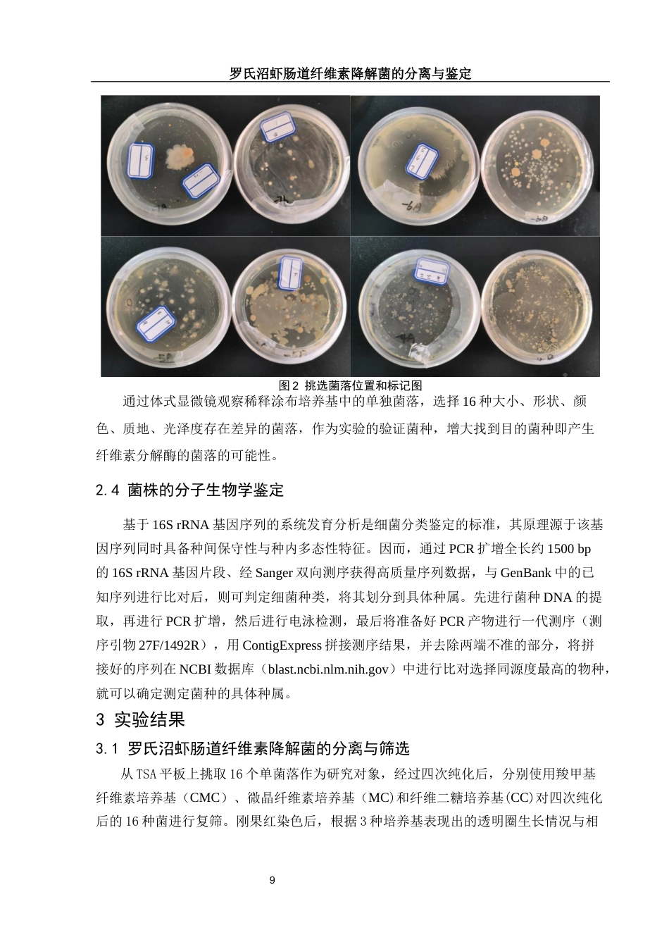 25年WH动物科学 罗氏沼虾肠道纤维素降解菌的分离与鉴定18.51-AI0.55终稿-约21200字符.docx_第10页