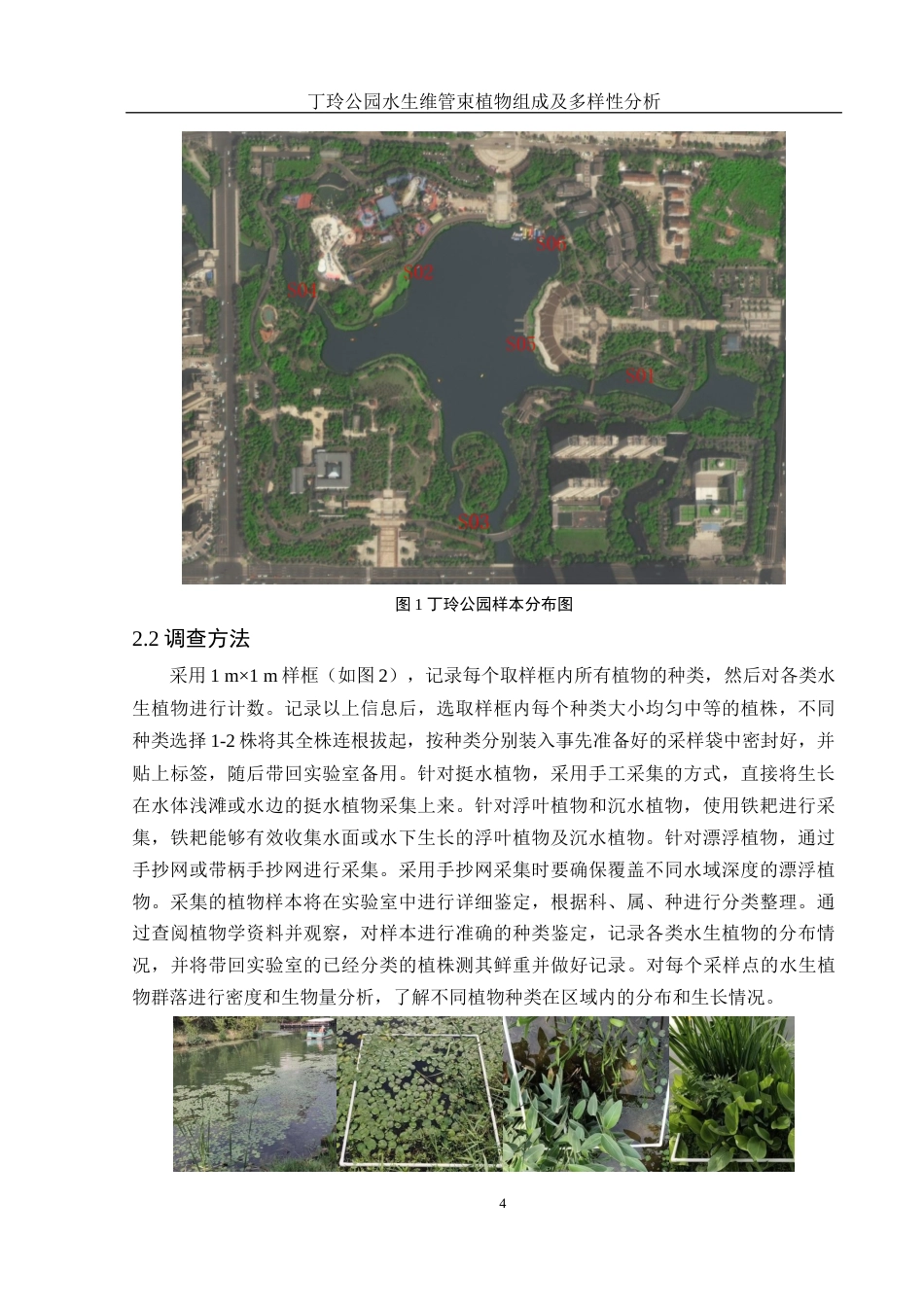 25年WH水产养殖学 丁玲公园水生维管束植物组成及多样性分析13.26-AI19.26终稿-约9466字符.docx_第7页