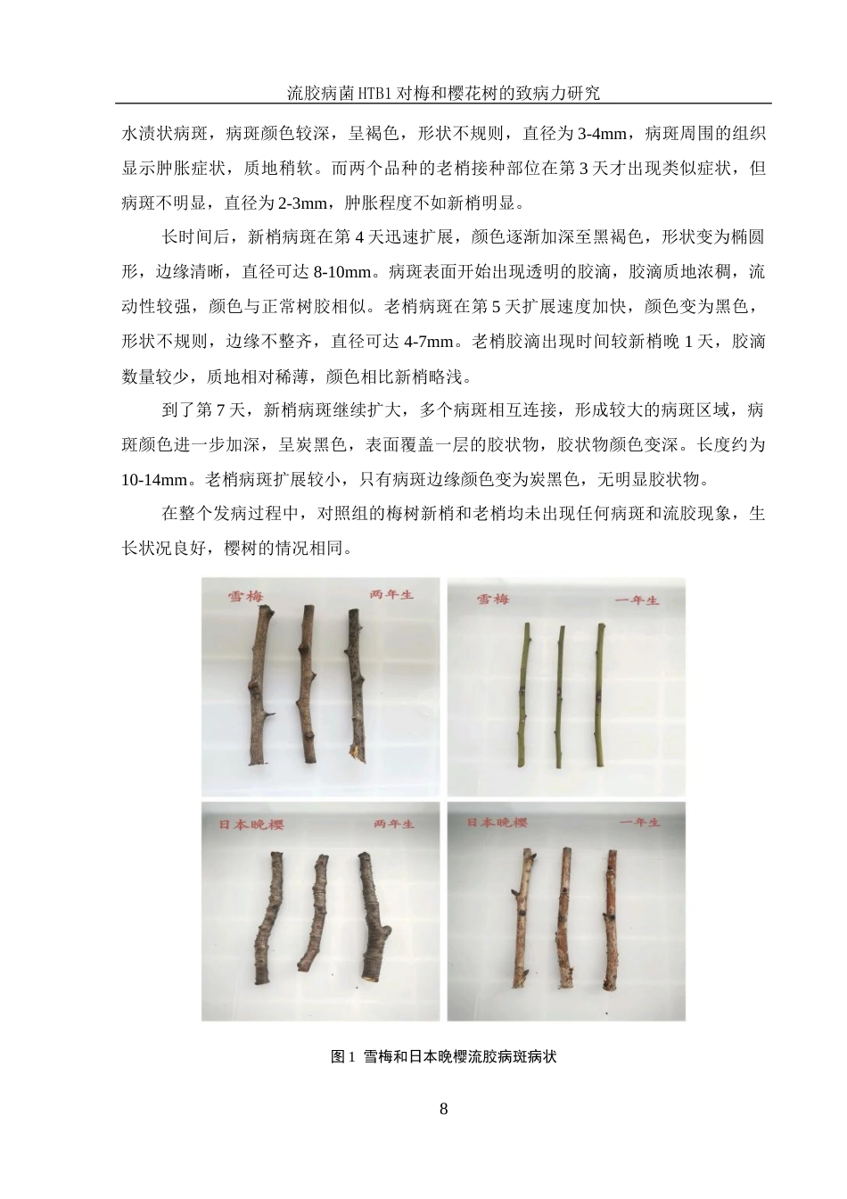 25年WH农学 流胶病菌HTB1对梅和樱花树的致病力研究8.54-AI18.7终稿-约10597字符.docx_第9页