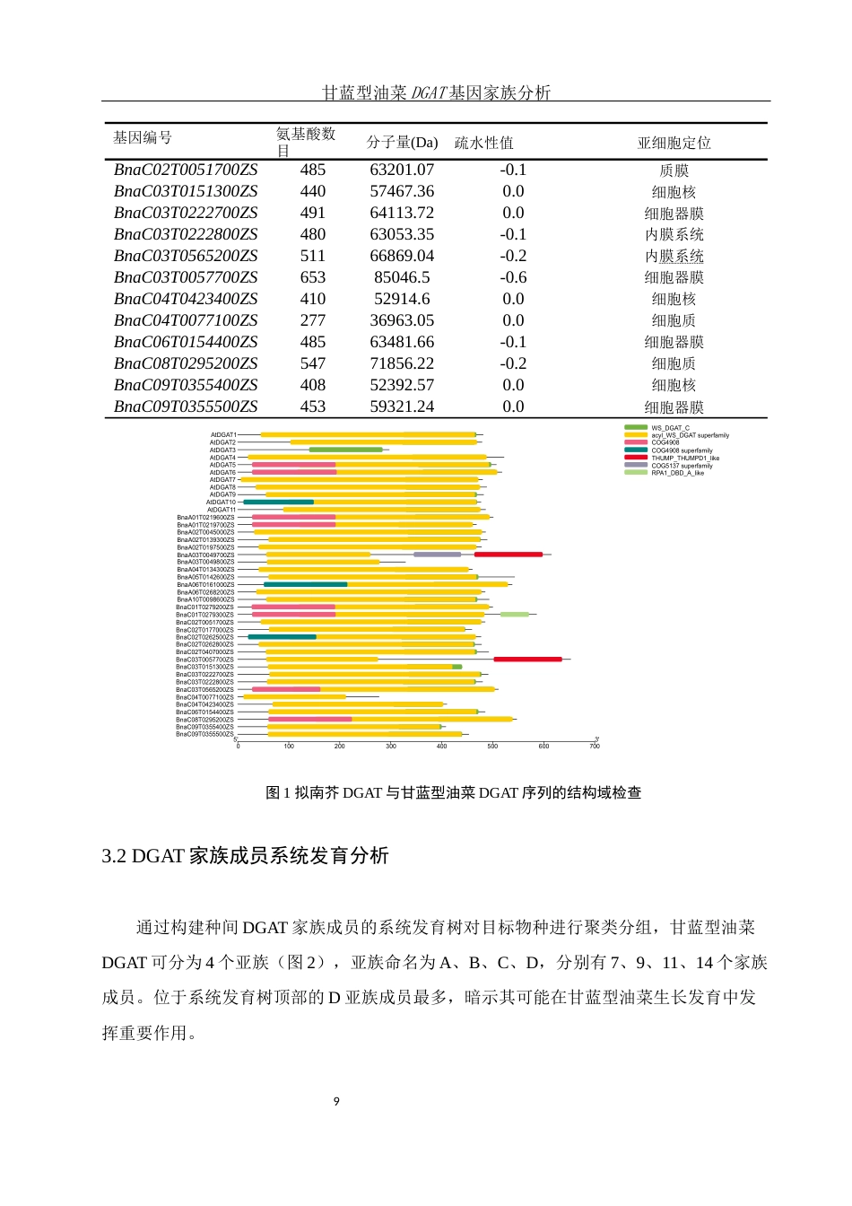 25年WH农学 甘蓝型油菜DGAT基因家族分析6.68-AI32.54终稿-约11089字符.docx_第9页