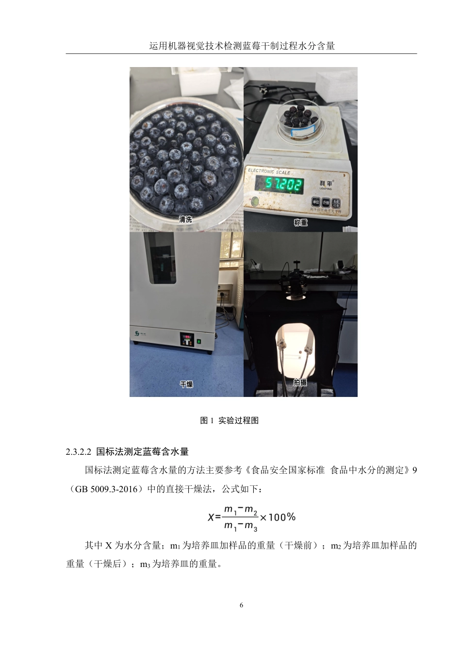 25年WH农学 运用机器视觉技术检测蓝莓干制过程水分含量21.78-AI19.81终稿-约10538字符.pdf_第8页
