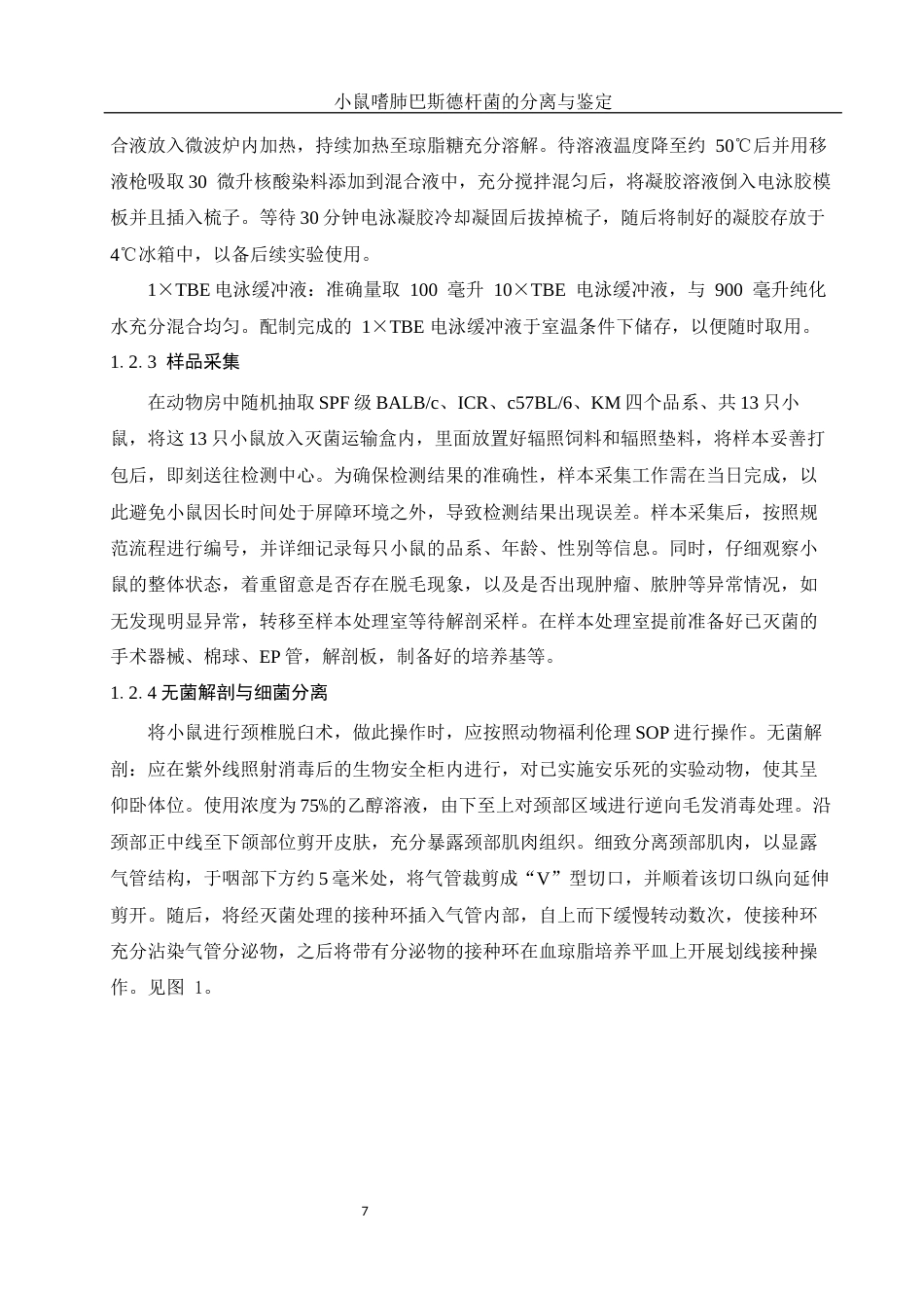 25年WH动物科学 小鼠嗜肺巴斯德杆菌的分离与鉴定14.2-AI9.66终-约11325字符.docx_第8页