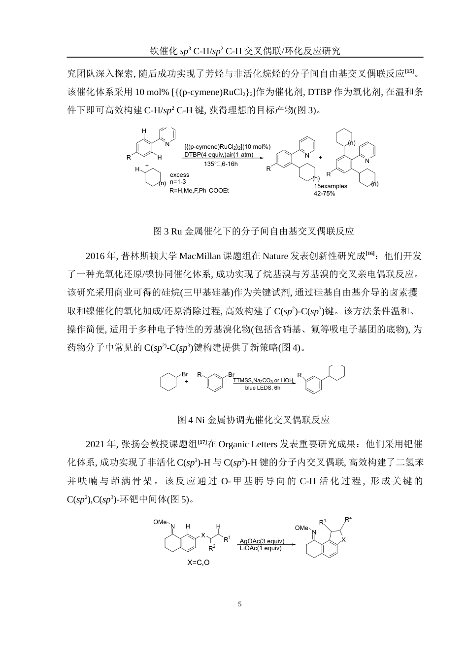 25年WH化学 铁催化sp3 C-Hsp2 C-H交叉偶联环化反应研究21.99-AI15.47-约13821字符.docx_第5页