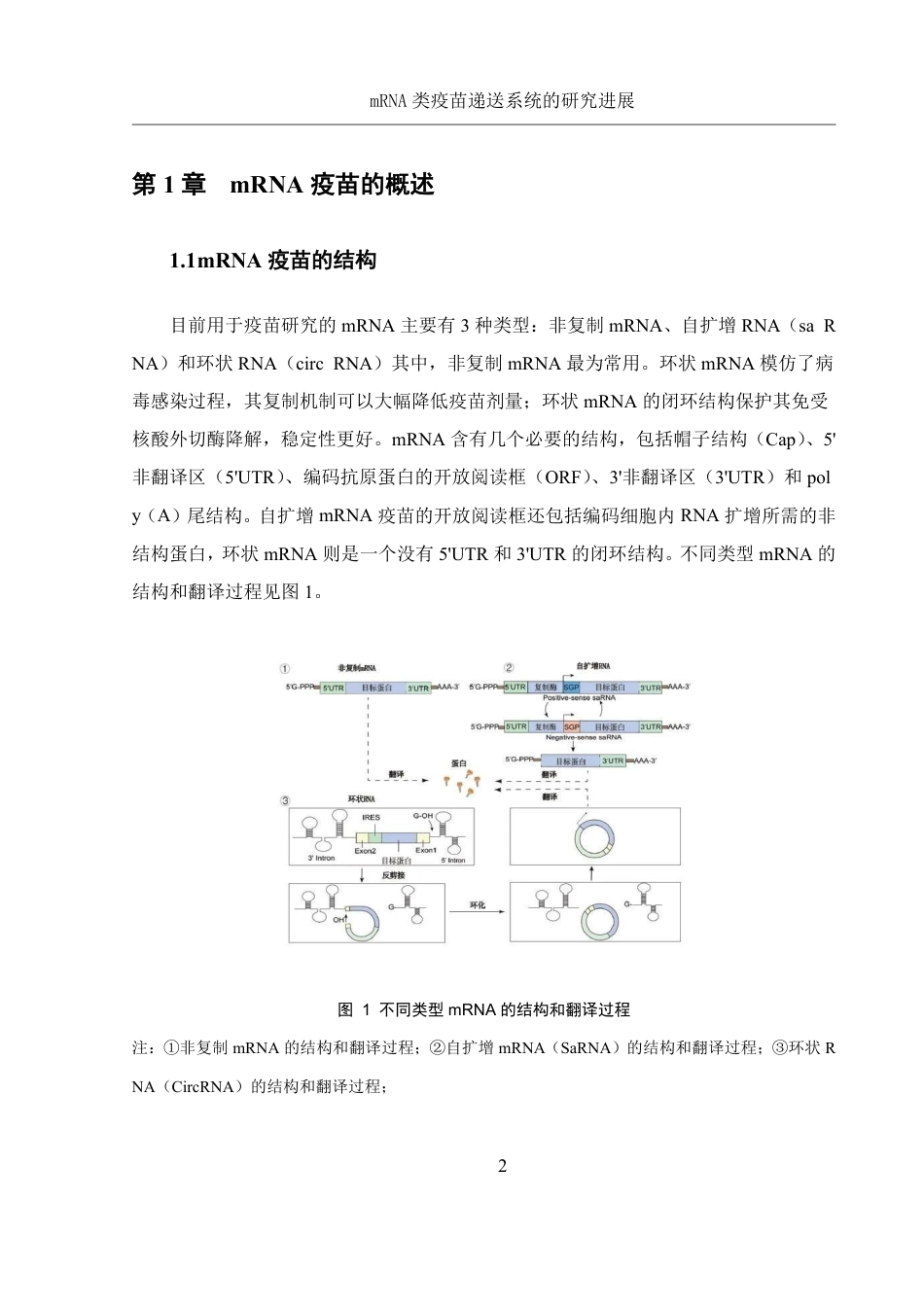 25年WH制药工程 mRNA类疫苗递送系统的研究进展10.42-AI16.66-约22672字符.pdf_第6页