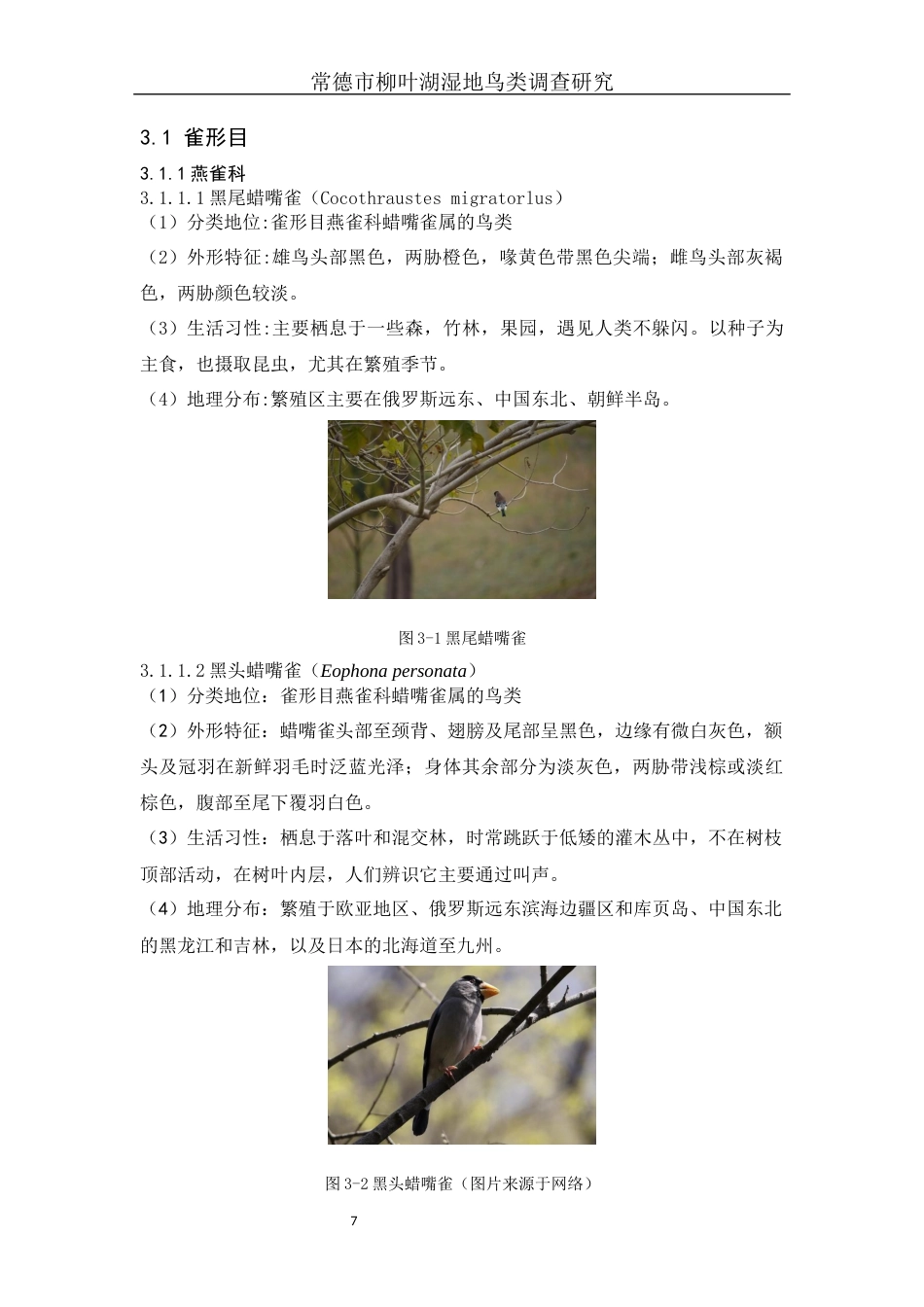 25年WH生物科学 常德市柳叶湖湿地鸟类调查研究6.38-AI17.85终-约15813字符.docx_第9页