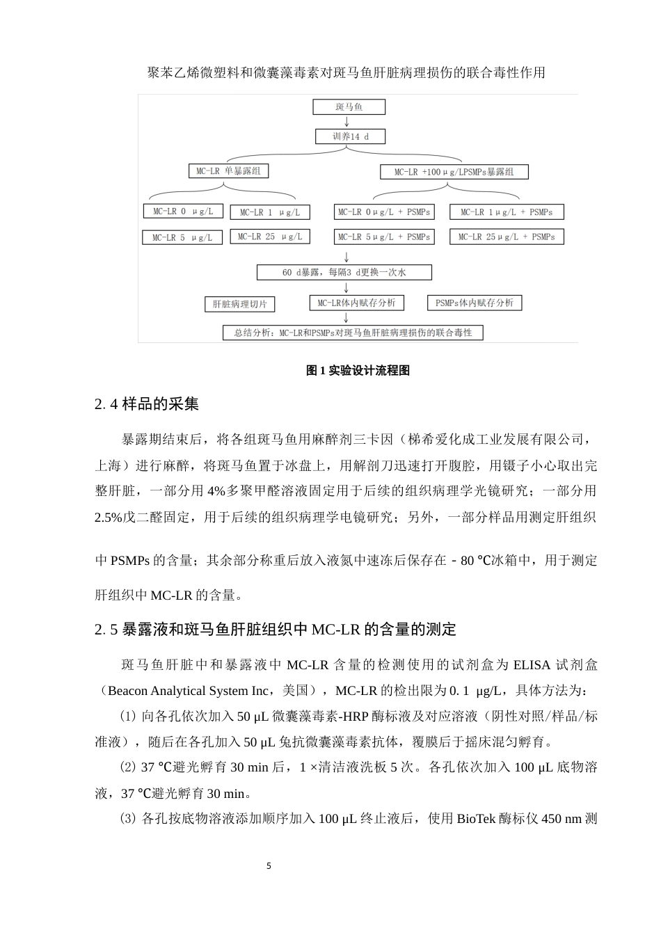 25年WH生物科学 聚苯乙烯微塑料和微囊藻毒素对斑马鱼肝脏病理损伤的联合毒性作用25.03-AI5.83终-约12900字符.docx_第8页
