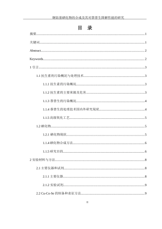 25年WH环境工程 铜钴基硒化物的合成及其对萘普生降解性能的研究9.33-AI33.95终稿-约9876字符.docx