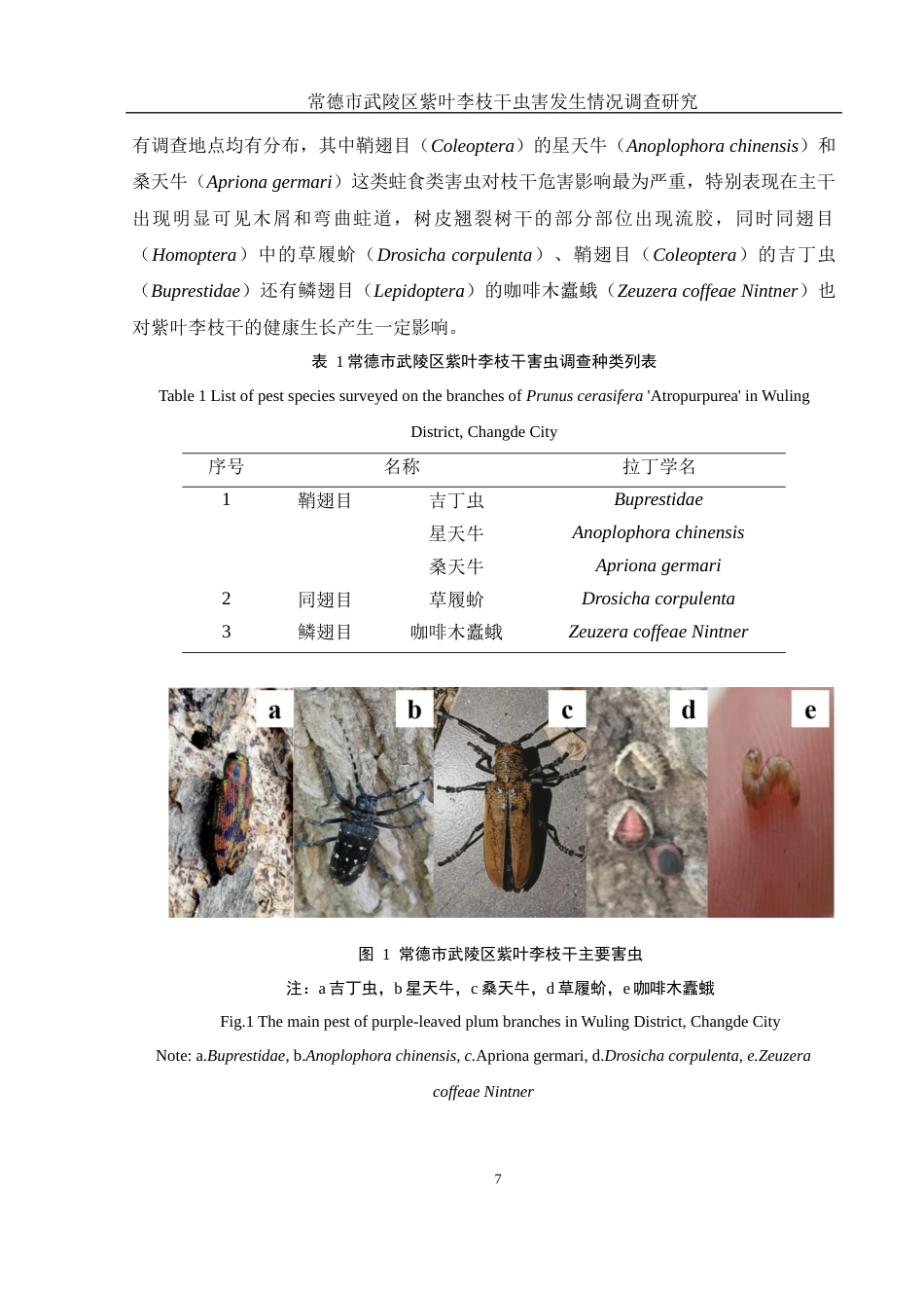 25年WH农学 常德市武陵区紫叶李枝干虫害发生情况调查研究14.42-AI19.55终-约9628字符.docx_第8页