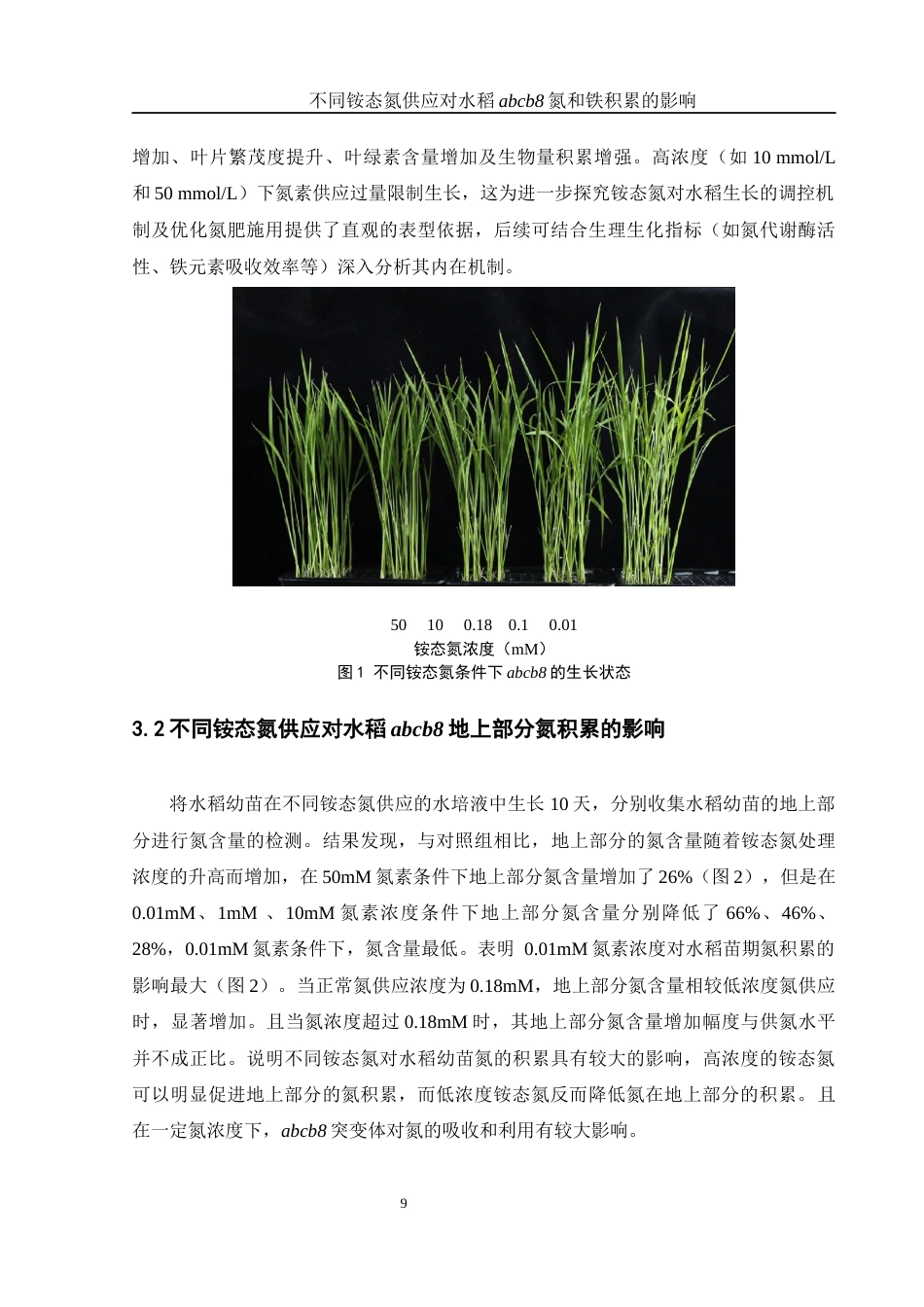 25年WH农学 不同铵态氮供应对水稻abcb8氮和铁积累的影响4.33-AI36.01终-约9932字符.docx_第8页