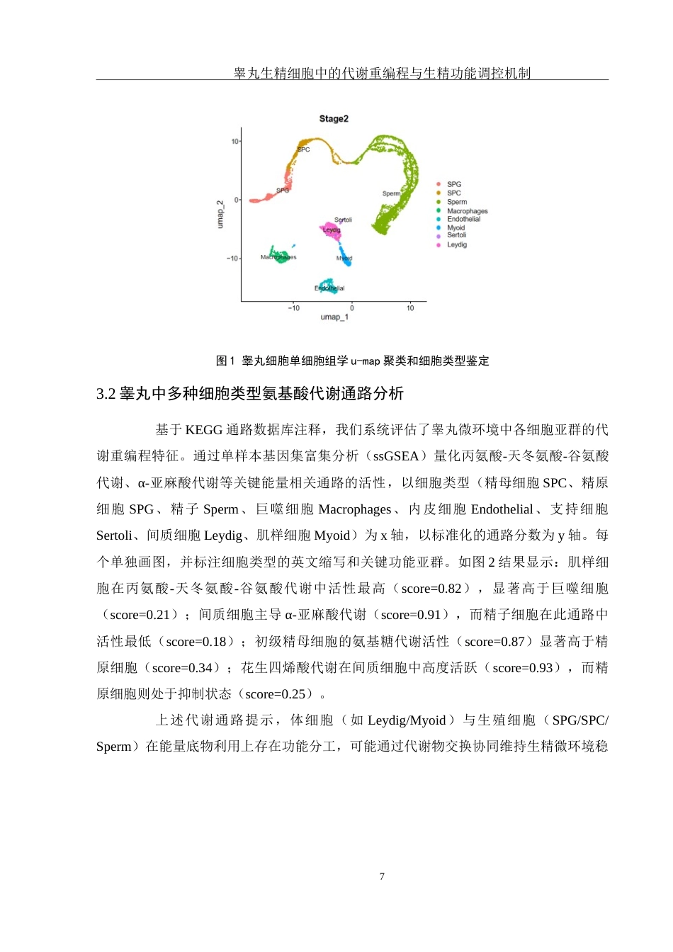 25年WH动物科学 睾丸生精细胞中的代谢重编程与生精功能调控机制（生信分析）1.58-AI9.36-约12490字符.doc_第8页