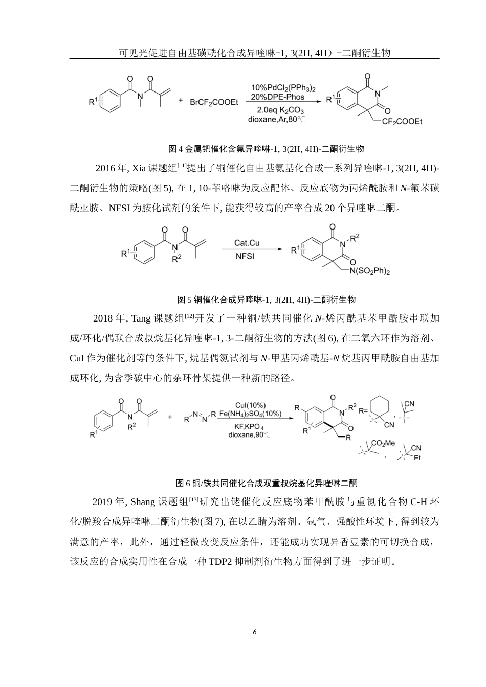 25年WH化学 可见光促进自由基磺酰化合成异喹啉-13(2H4H)-二酮衍生物21.89-AI4.05终-约16431字符.docx_第6页