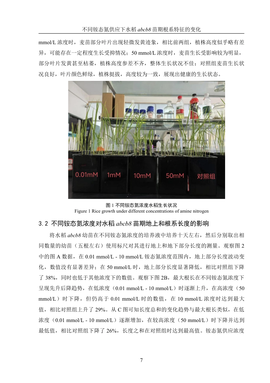 25年WH农学 不同铵态氮供应下水稻abcb8苗期根系特征的变化10.36-AI16.48-约12981字符.pdf_第8页