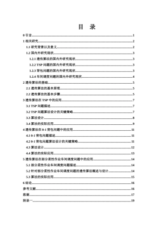 25年WH信息与计算科学 遗传算法在组合优化中的应用20.01-AI15.56.docx