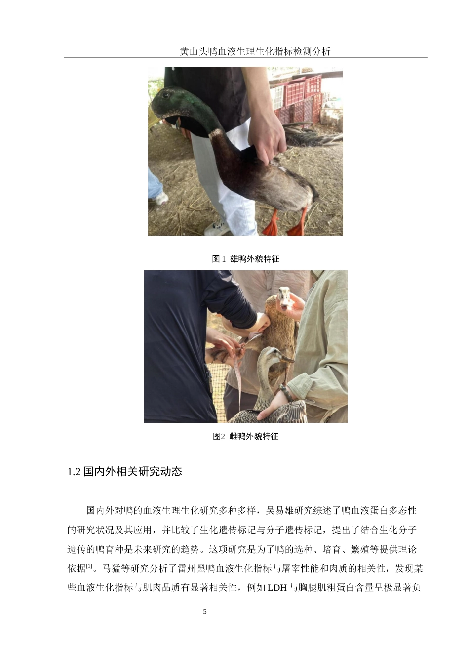 25年WH动物科学 黄山头鸭血液生理生化指标检测分析18.24-AI15.57-约9215字符.docx_第6页