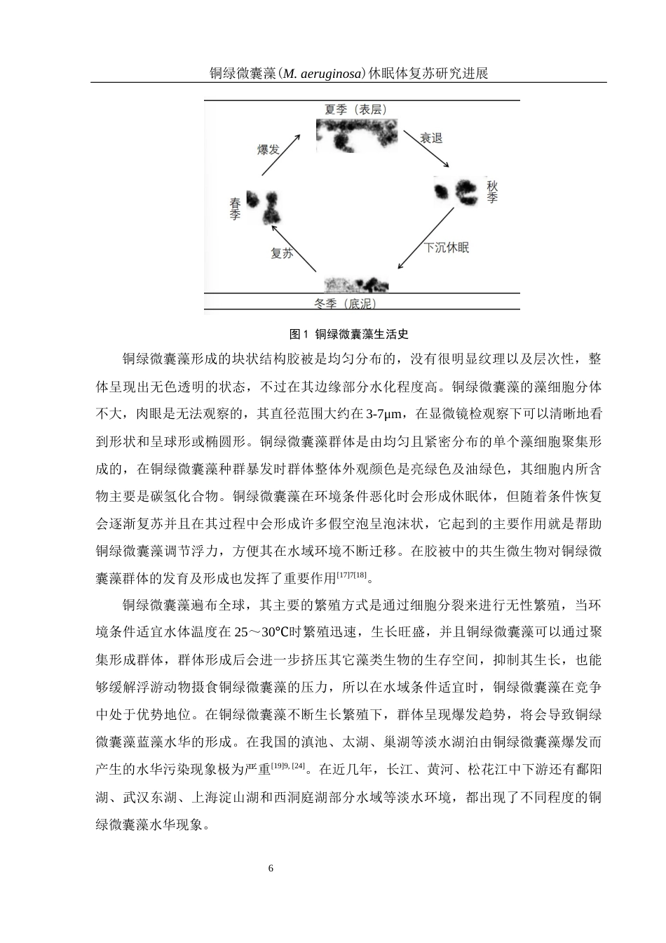 25年WH环境科学 铜绿微囊藻(M. aeruginosa)休眠体复苏研究进展15.46-AI10.78-约19286字符.docx_第7页