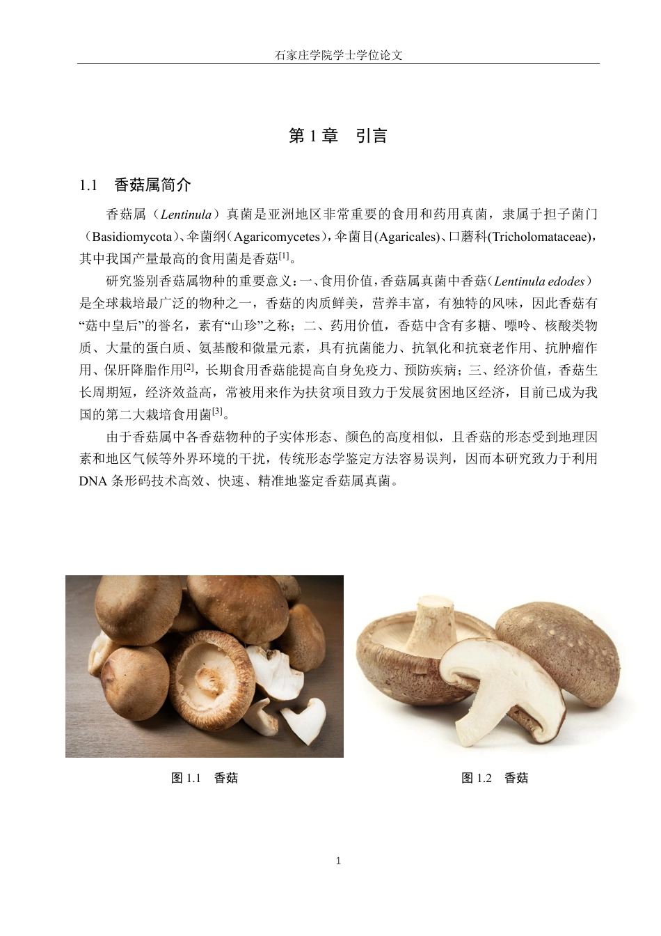 25年CH 生物工程 DNA条形码技术在香菇属真菌鉴定中的应用-约16136字符最终.pdf_第4页