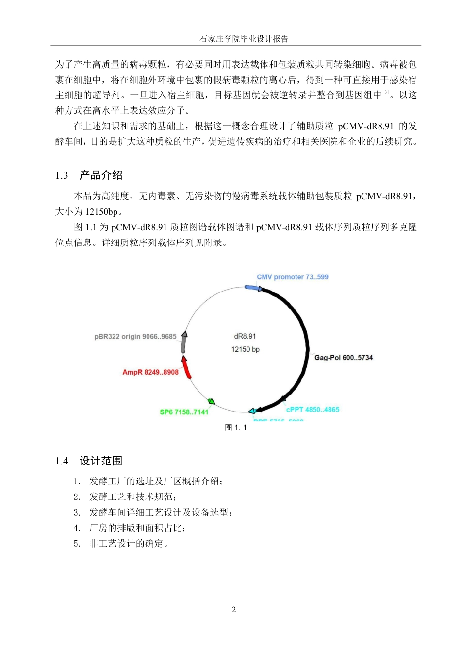 25年CH 生物工程 基于人类免疫缺陷病毒（HIV）慢病毒包装质粒pCMV-dR8-91发酵车间工艺设计-约27119字符最终.pdf_第7页