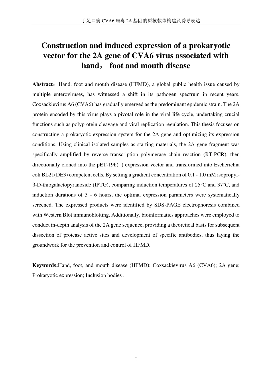 生物工程 手足口病CVA6病毒2A基因的原核载体构建及诱导表达-最终稿-约15065字符.pdf_第4页