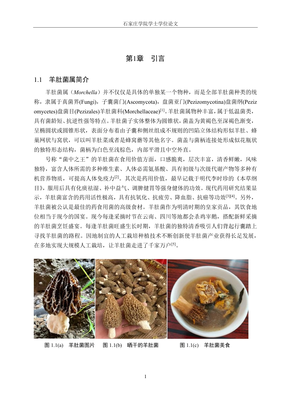 25年CH 生物工程 DNA条形码技术在羊肚菌属真菌鉴定中的应用-约15920字符最终.pdf_第4页