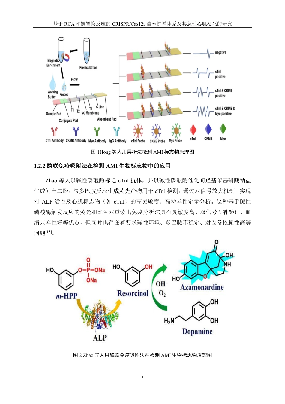 生物工程 基于RCA和链置换反应的CRISPR-Cas12a信号扩增体系及其急性心肌梗死的研究-最终稿-约16847字符.pdf_第6页