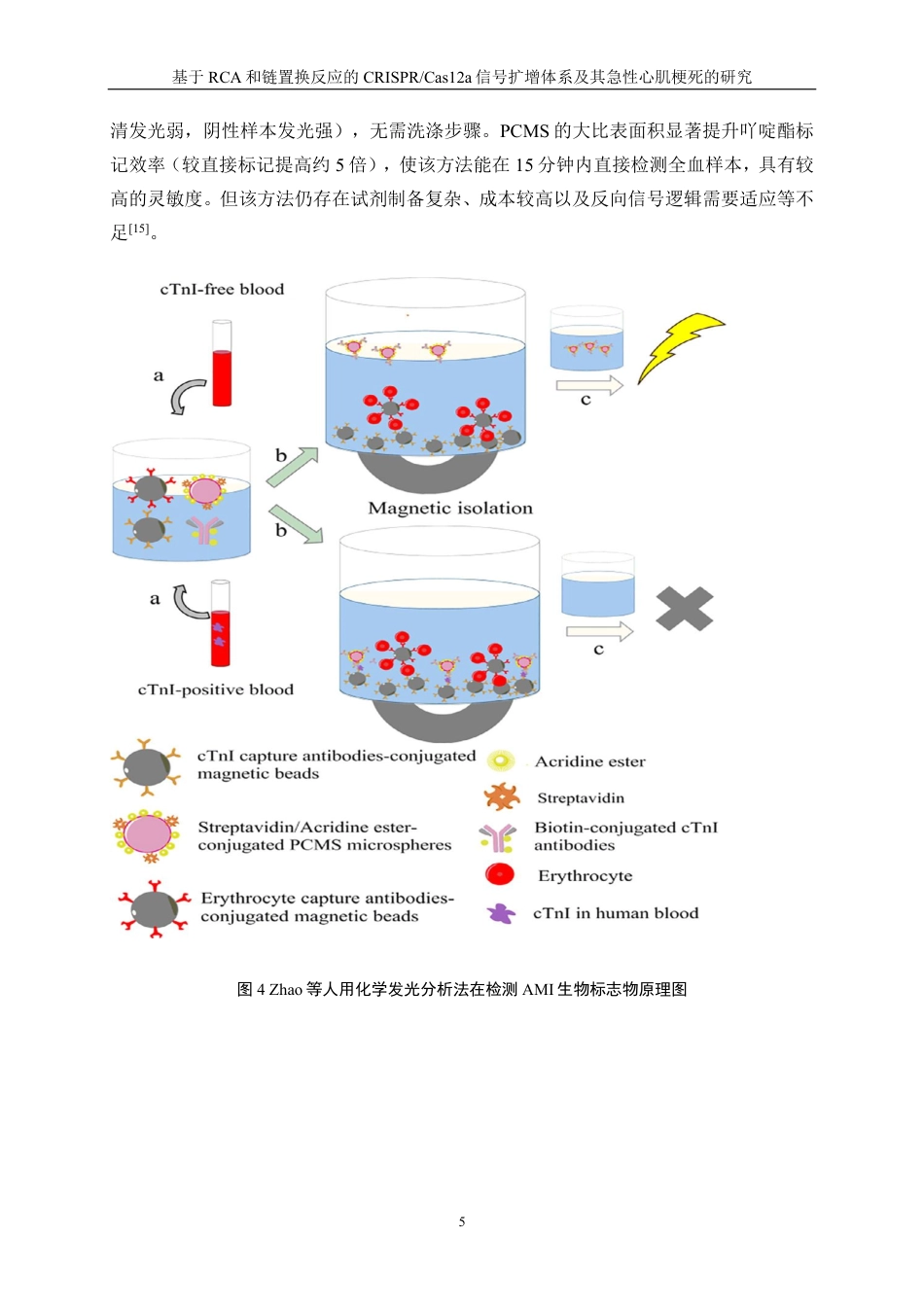 生物工程 基于RCA和链置换反应的CRISPR-Cas12a信号扩增体系及其急性心肌梗死的研究-最终稿-约16847字符.pdf_第8页