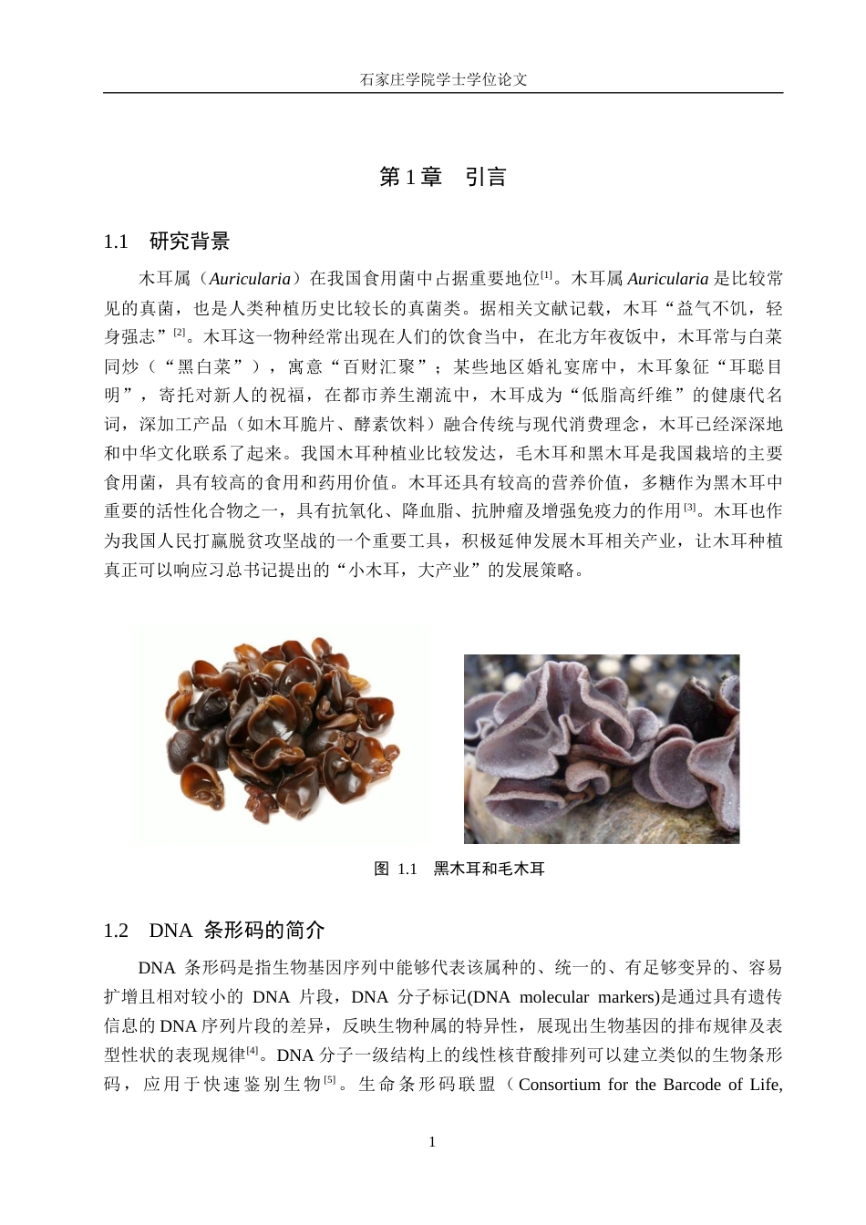25年CH 生物工程 DNA条形码技术在木耳属真菌鉴定中的应用-约11994字符终稿.docx_第4页